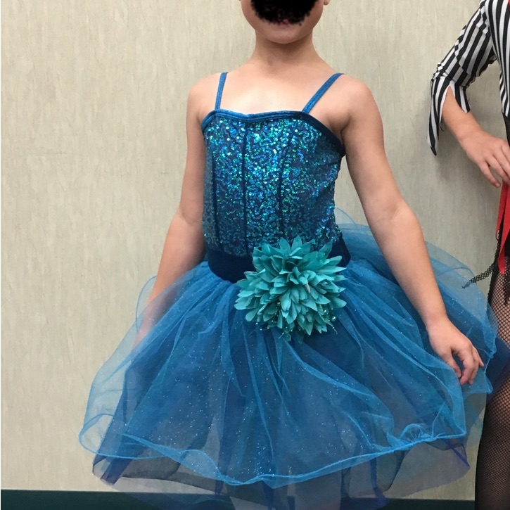 Blue Sequin Dance Costume With Tulle Skirt